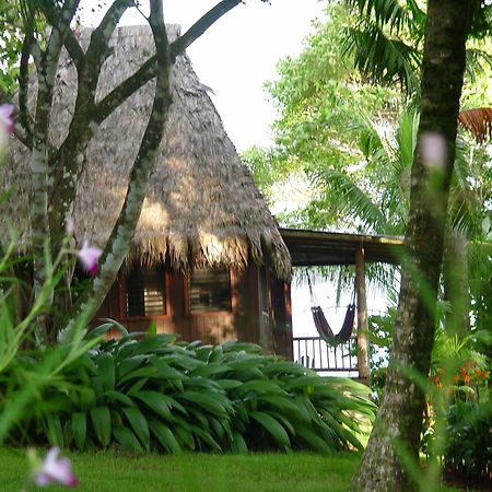 Bosque Del Cabo Rain Forest Lodge Puerto Jiménez Exterior photo