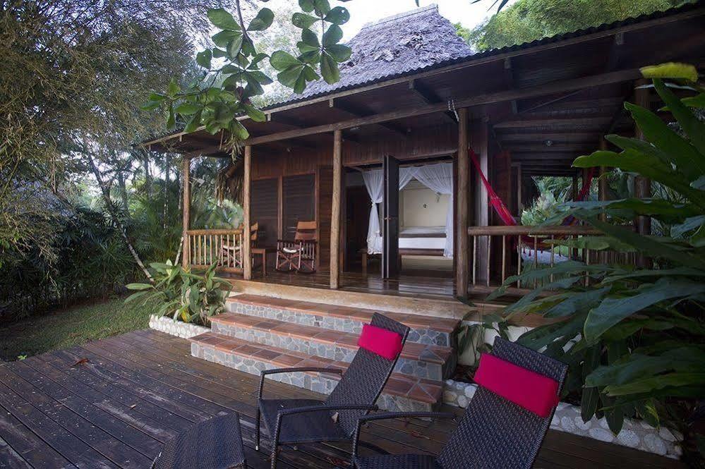 Bosque Del Cabo Rain Forest Lodge Puerto Jiménez Exterior photo