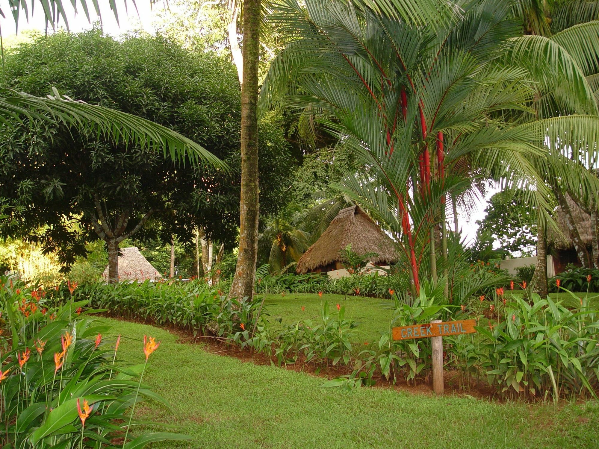 Bosque Del Cabo Rain Forest Lodge Puerto Jiménez Exterior photo