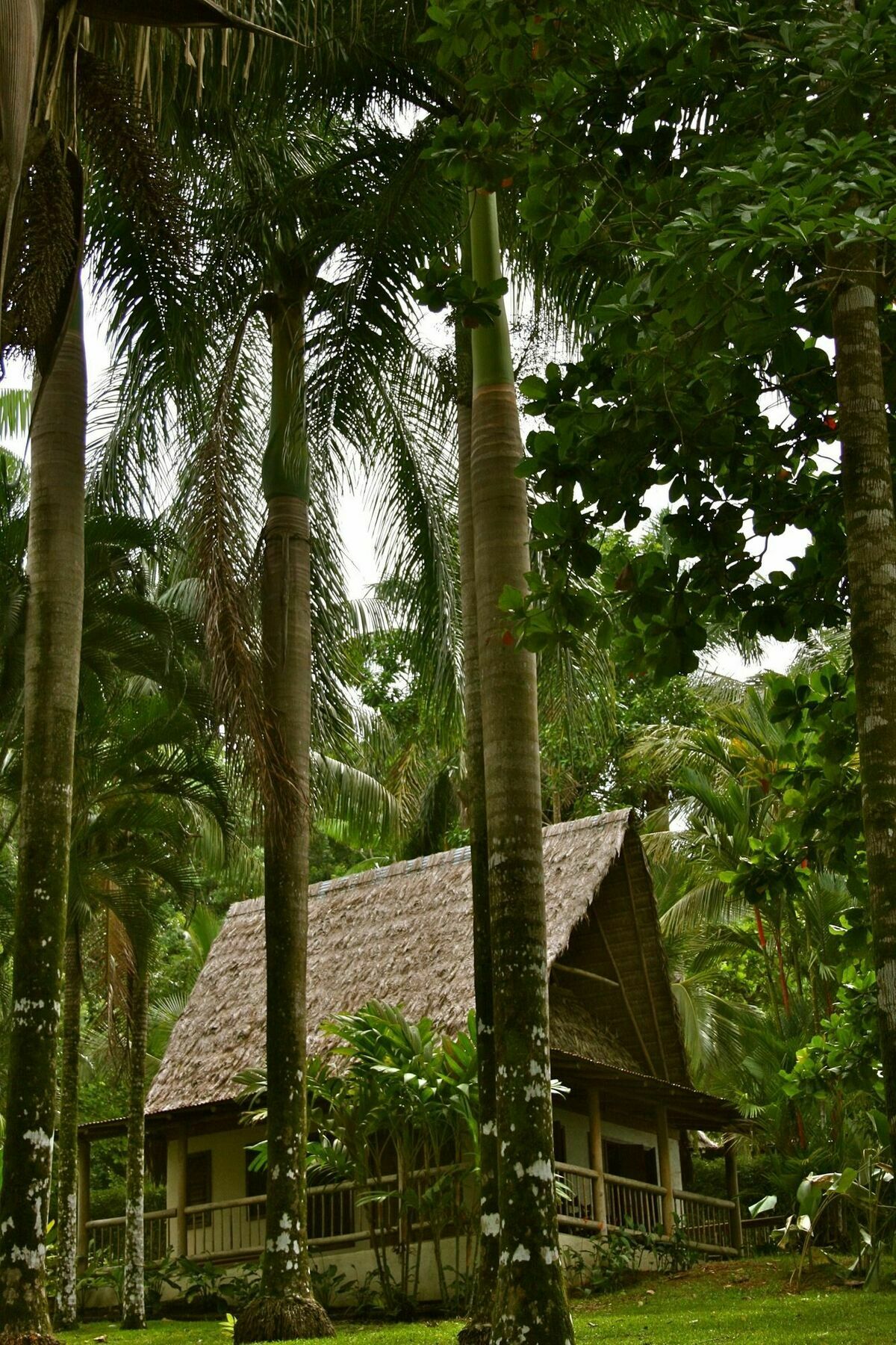 Bosque Del Cabo Rain Forest Lodge Puerto Jiménez Exterior photo