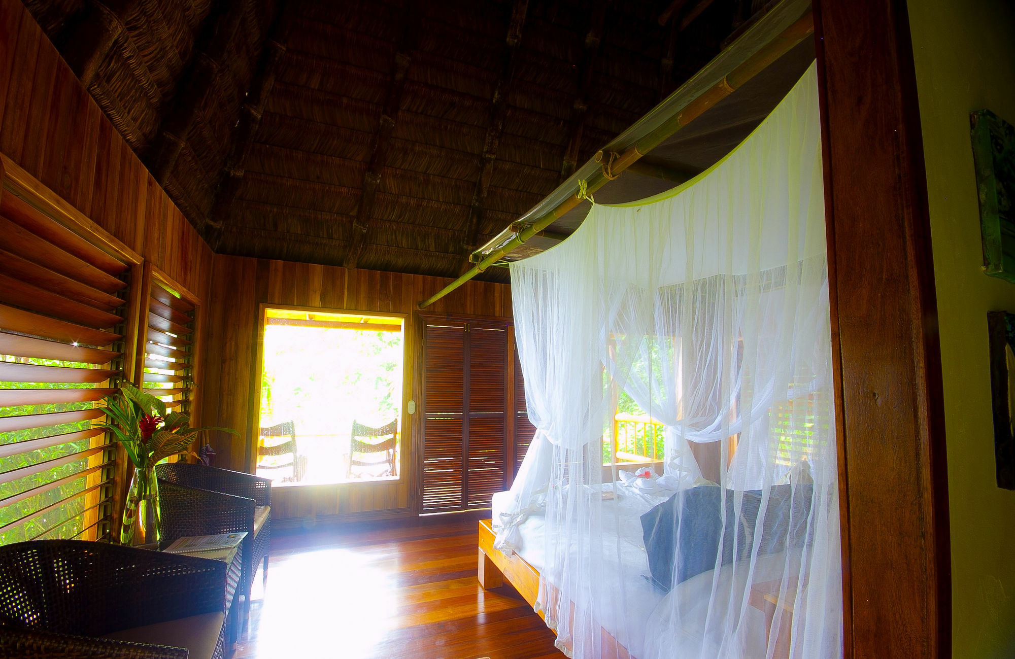 Bosque Del Cabo Rain Forest Lodge Puerto Jiménez Exterior photo
