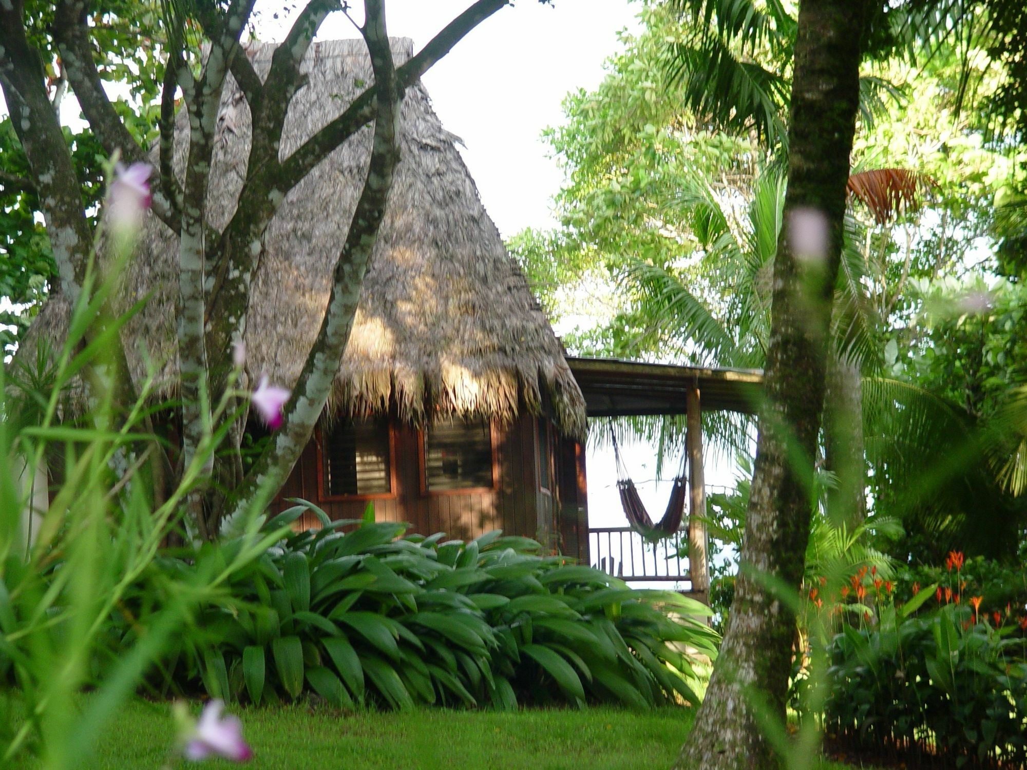 Bosque Del Cabo Rain Forest Lodge Puerto Jiménez Exterior photo